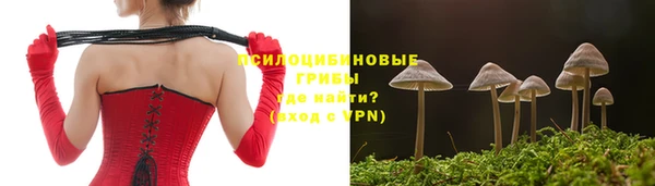 крисы Арсеньев