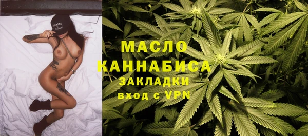 индика Аркадак
