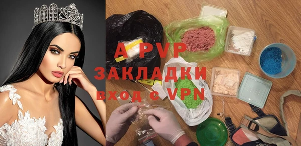 индика Аркадак