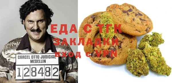 индика Аркадак