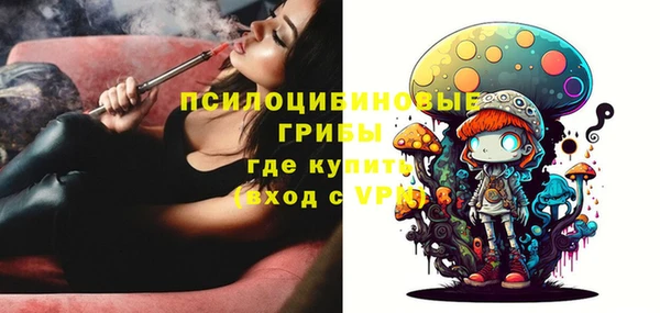 индика Аркадак